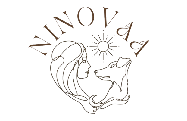 Ninovaa